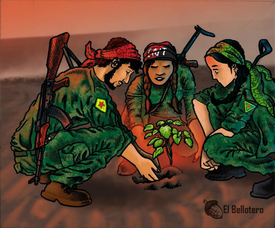 Rojava (1)