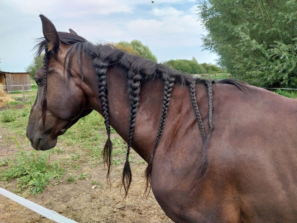 Apprendre à vivre, enfin, tâche anarchique par excellence